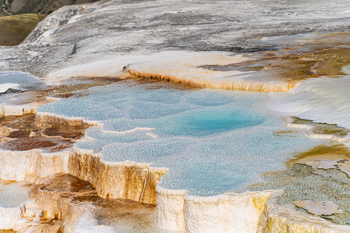 Best Things to Do in Yellowstone National Park 5