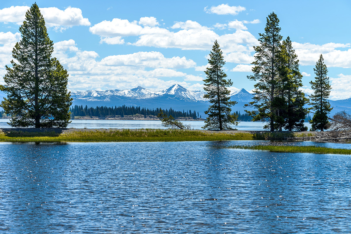 Best Things to Do in Yellowstone National Park 7