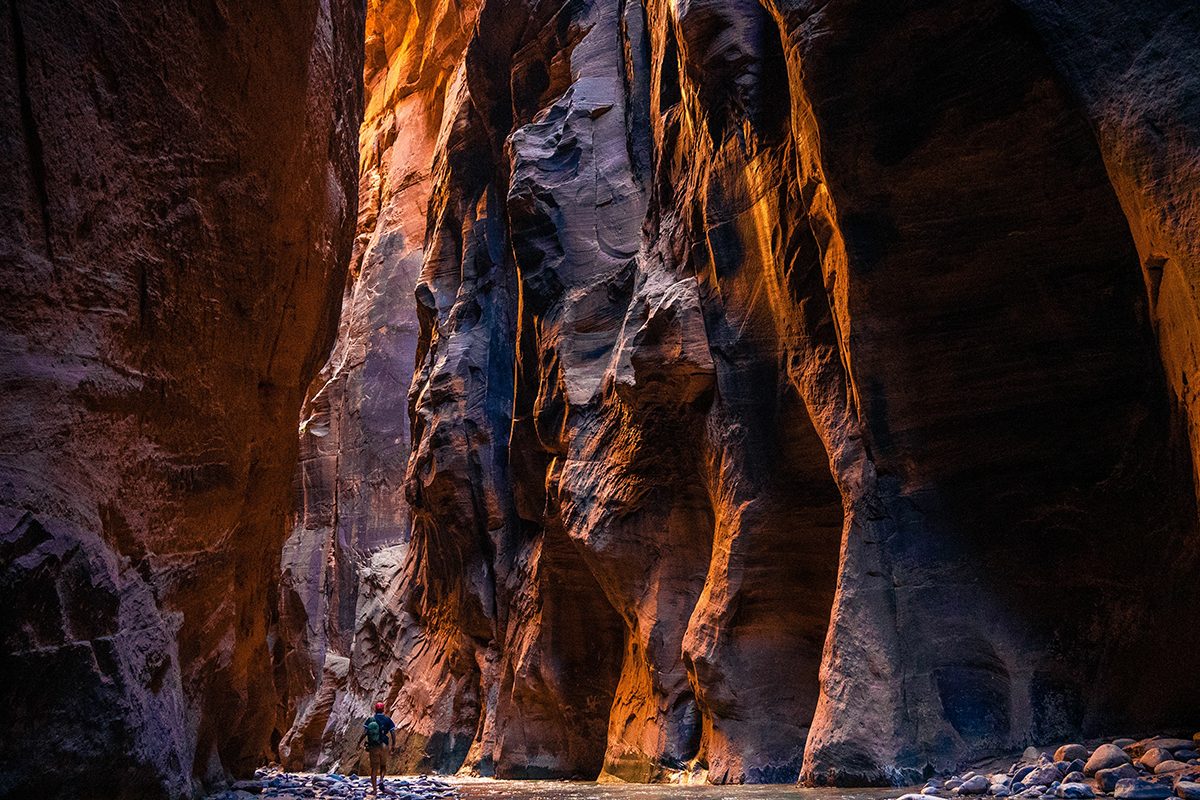 Explore the Beauty of Zion National Park 1