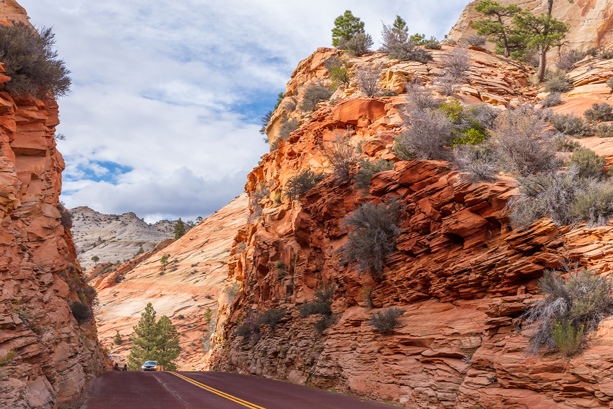 Explore the Beauty of Zion National Park 5
