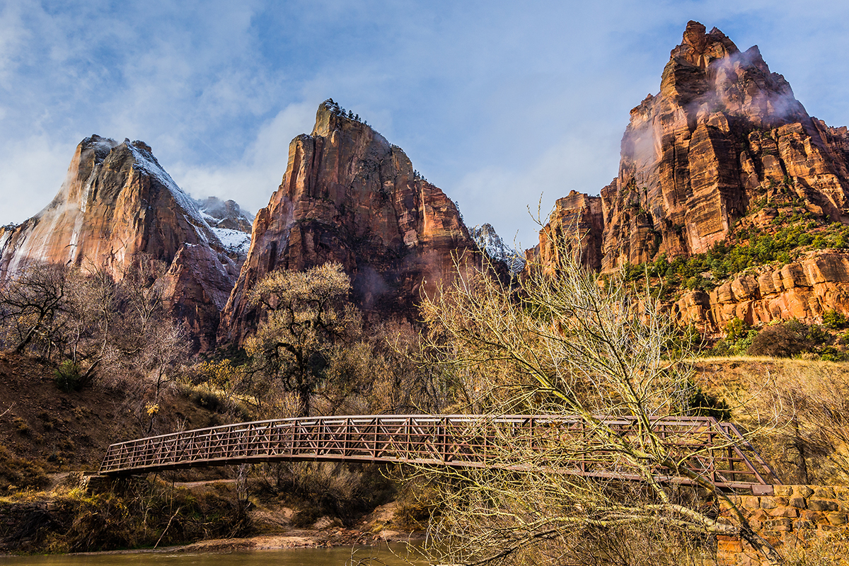 Explore the Beauty of Zion National Park 8