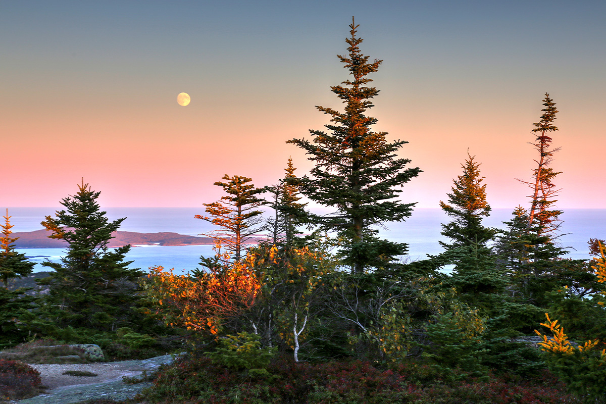 Best Things to Do in Acadia National Park 4