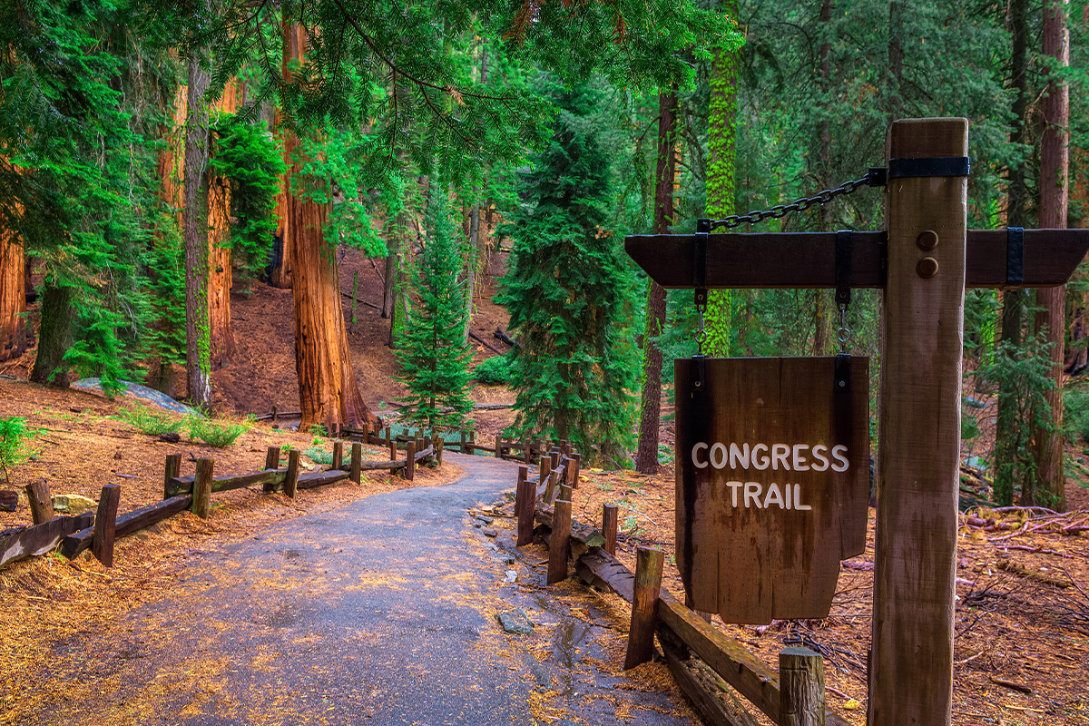 Best Things to Do in Sequoia National Park 4