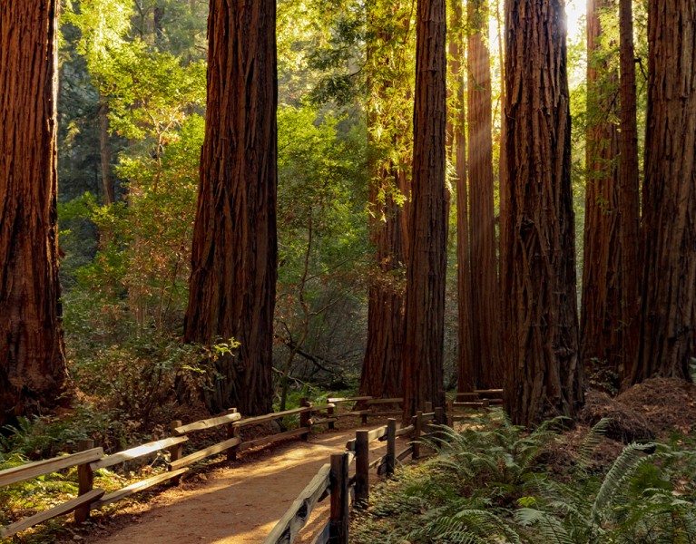 Best Things to Do in Sequoia National Park fi