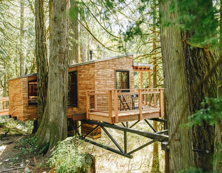 Trees and Treehouse Lodging Cabins in USA
