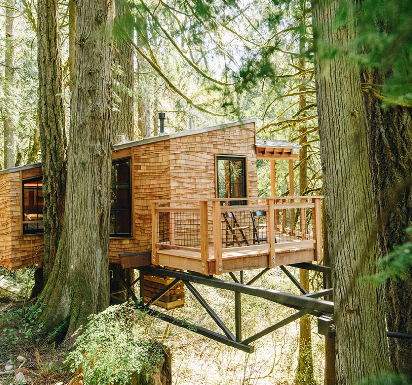 Trees and Treehouse Lodging Cabins in USA