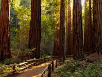 Best Things to Do in Sequoia National Park fi