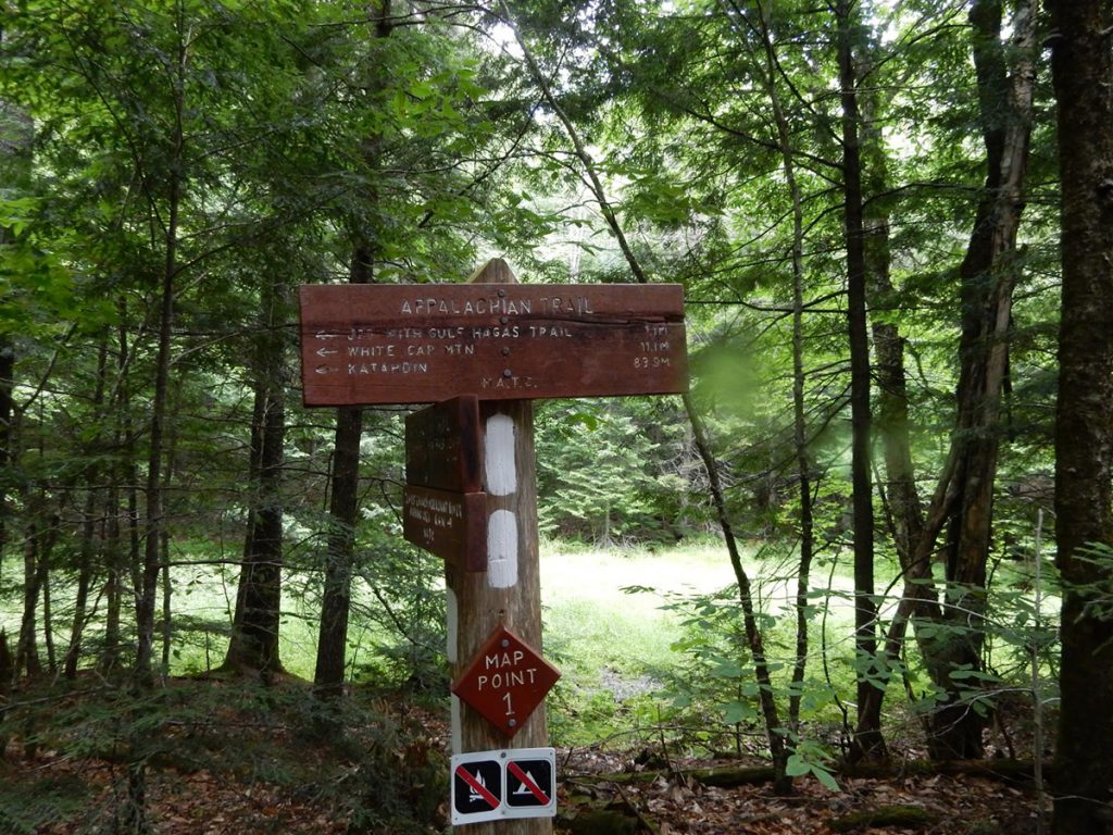 wooden trail sign in forest