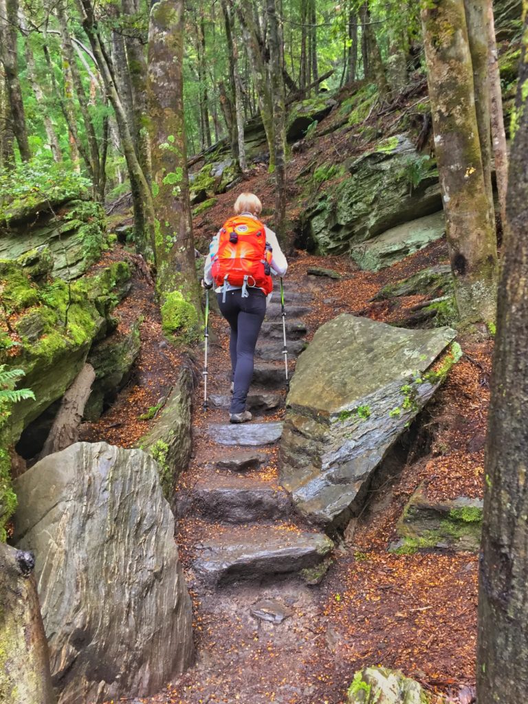 A woman hiking up a forest path with trekking poles and KUHL womens hiking clothing