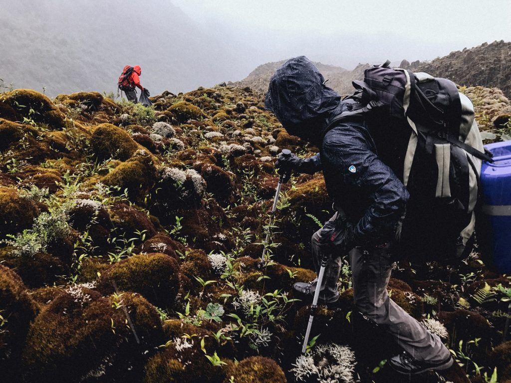 Two men hiking over a field covered in moss dressed in KUHL men's outerwear.