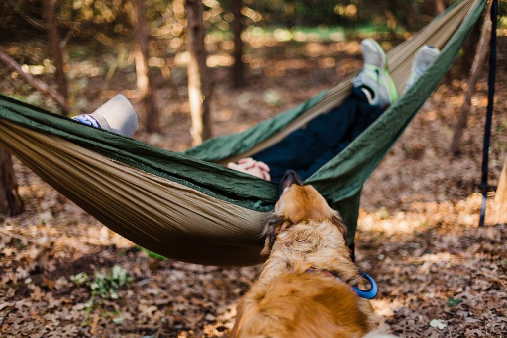 The Essential Guide to Hammocks - dog biting hammock with person sleeping
