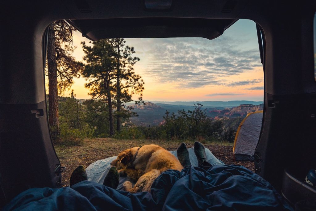 yellow dog and two people sleeping in car with the outdoors in the background