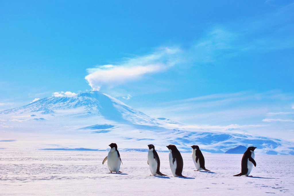 Penguins-1024x682.jpg
