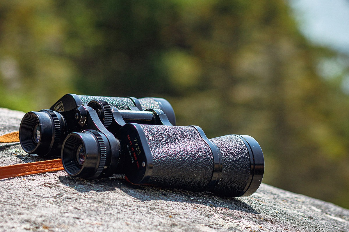 An image of binoculars laying on a rock with blurred trees behind it.