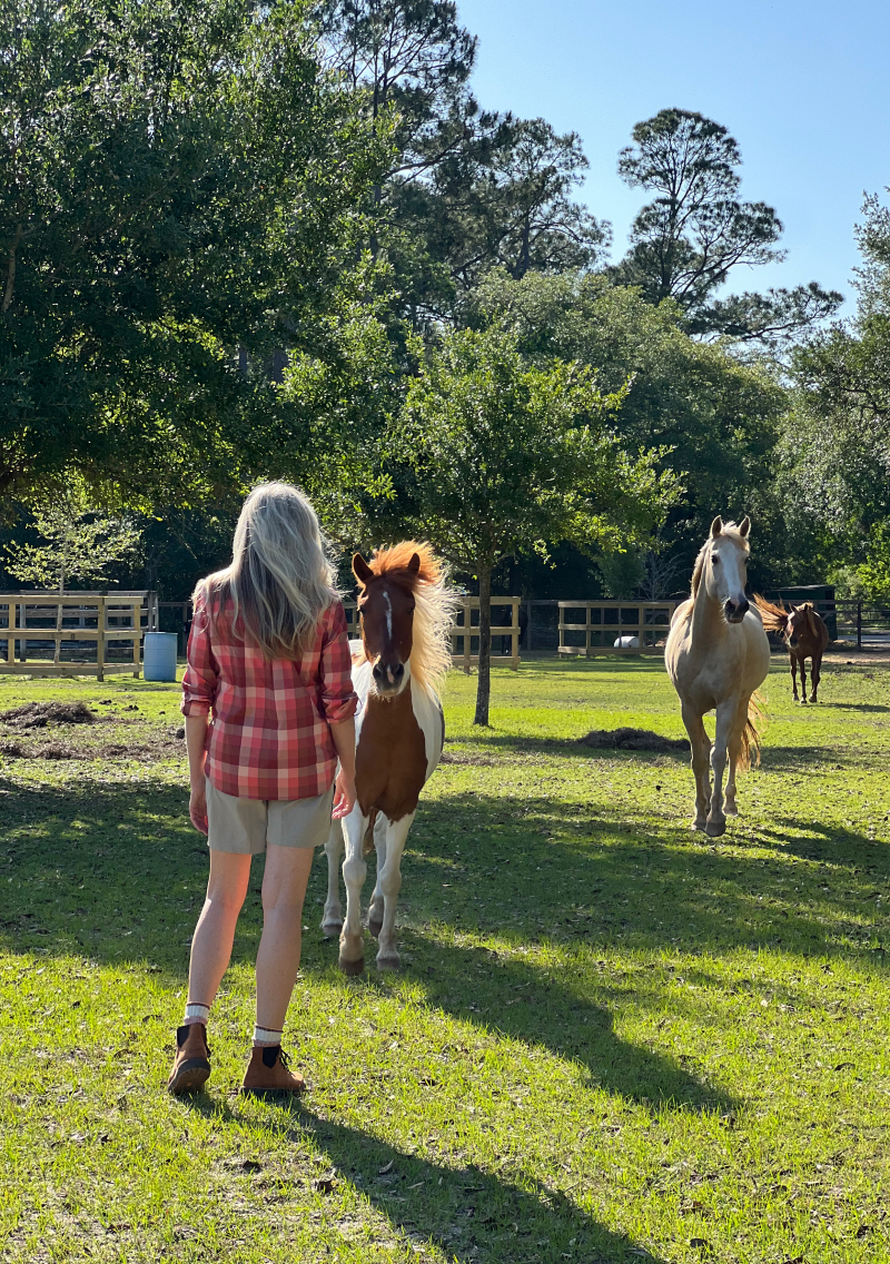 Laurie Hood and two horses on a green at Alaqua Animal Refuge.