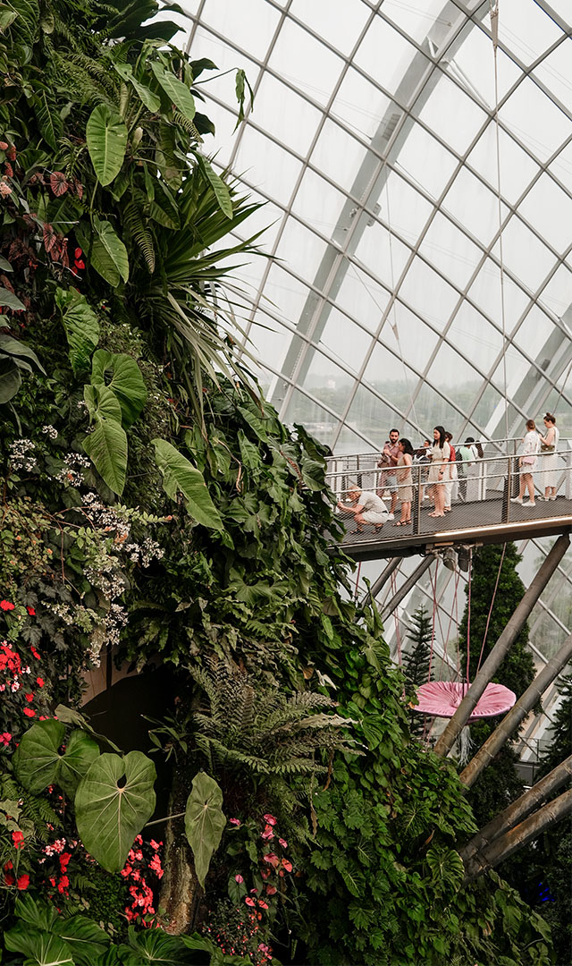 Interior garden in Singapore