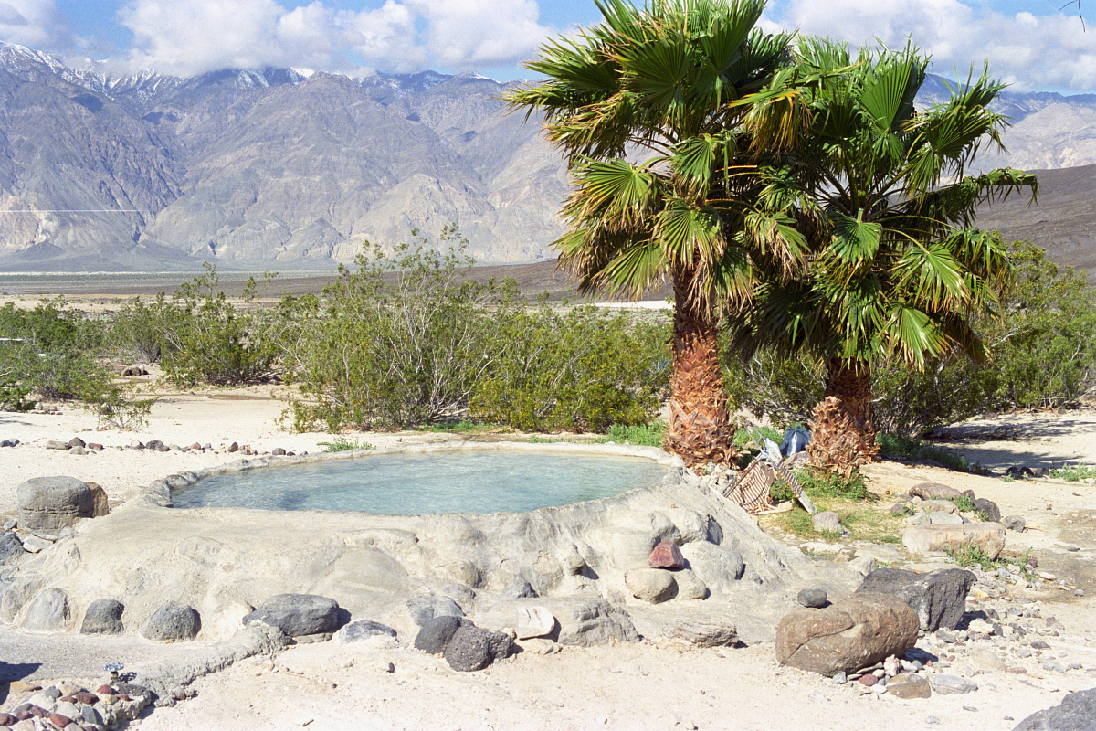 Palm Spring and desert wetlands in the Saline Valley, in Death Valley National Park.