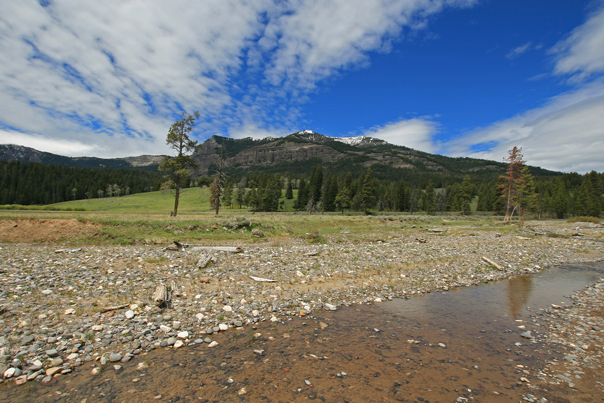 Yellowstone Camping 9