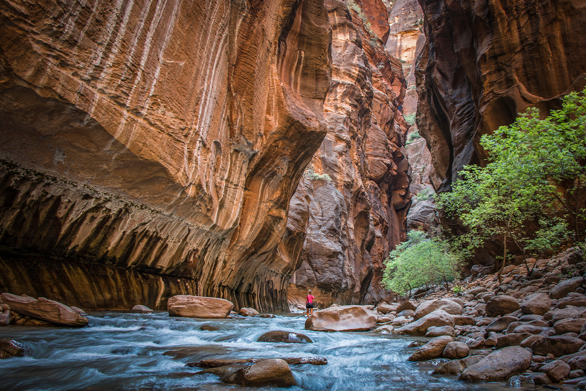 Explore the Beauty of Zion National Park 7