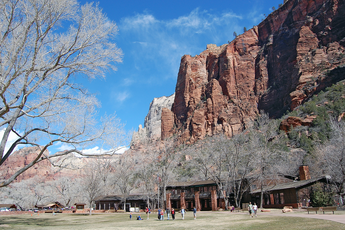 Explore the Beauty of Zion National Park 2