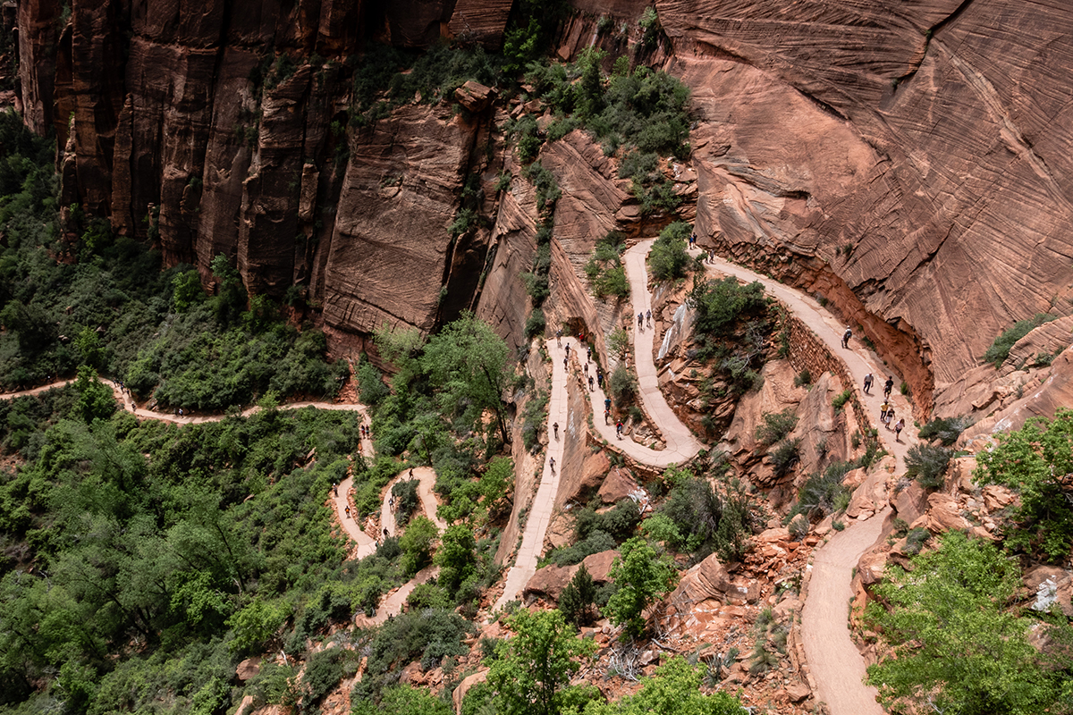 Explore the Beauty of Zion National Park 6