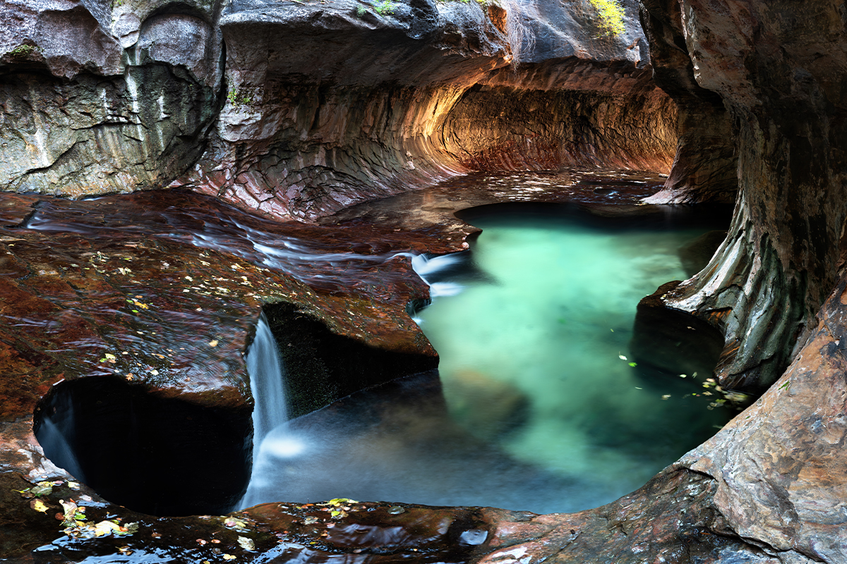 Explore the Beauty of Zion National Park 8