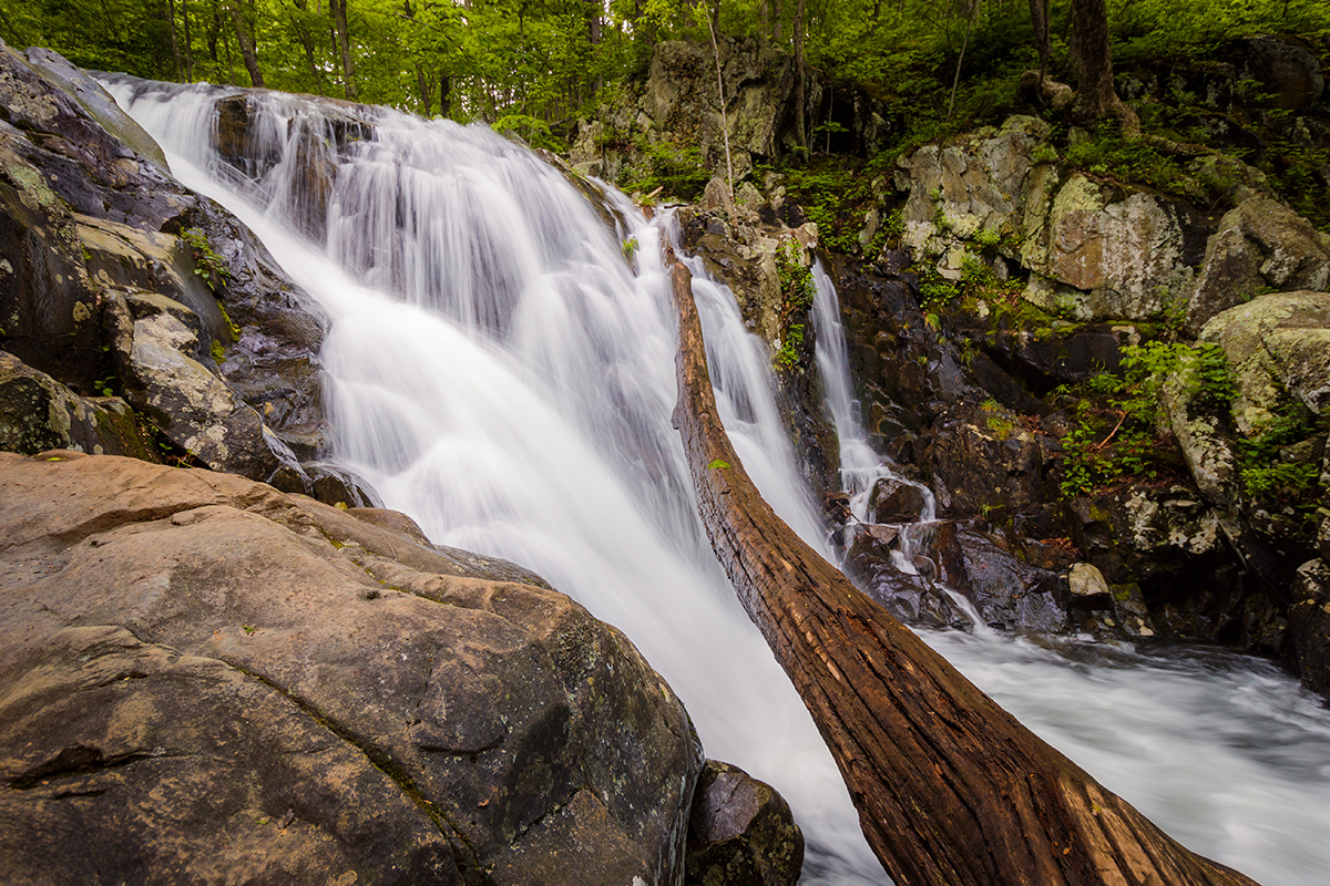 Best Things to Do in Shenandoah National Park 7