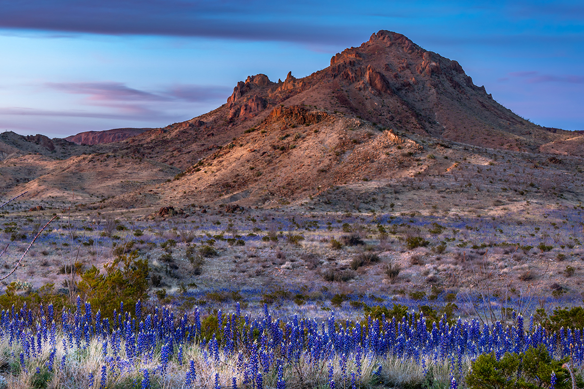 Things to Do in Big Bend National Park - Desert Adventures 1