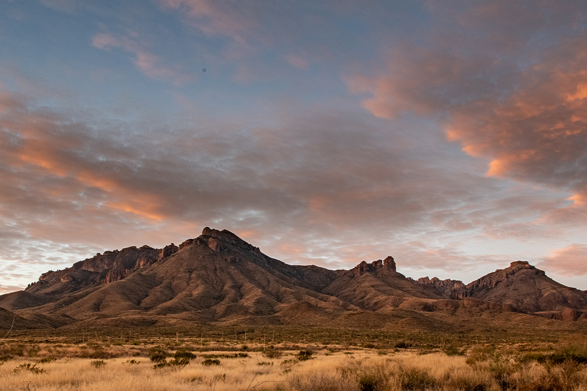 Things to Do in Big Bend National Park - Desert Adventures 10