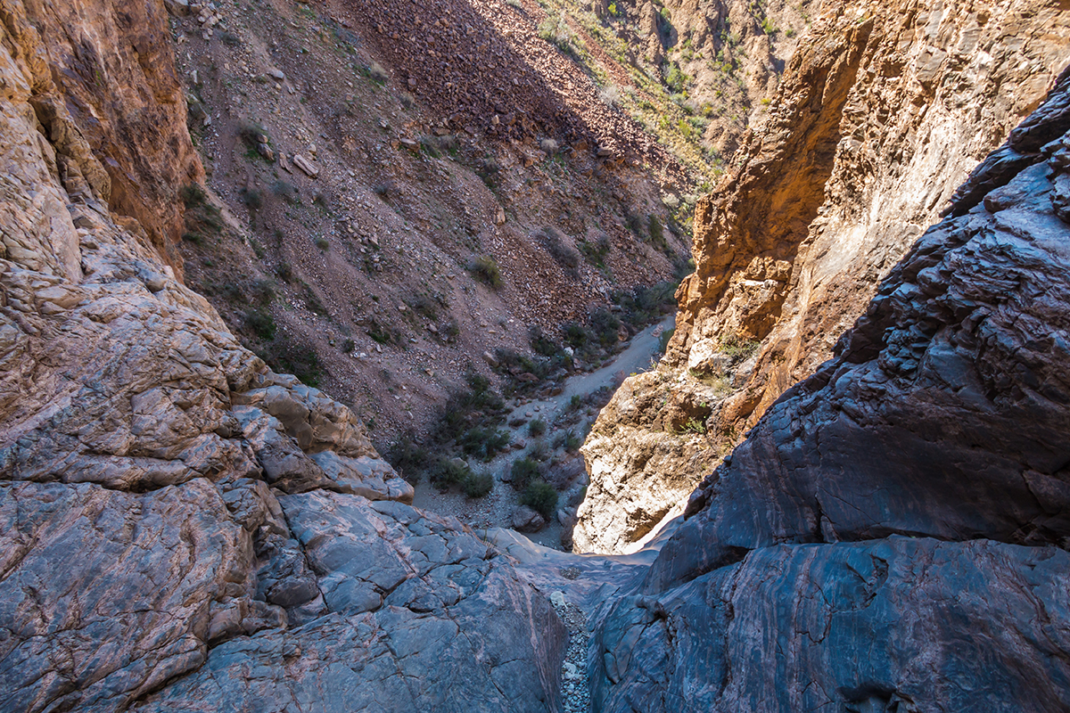 Things to Do in Big Bend National Park - Desert Adventures 11