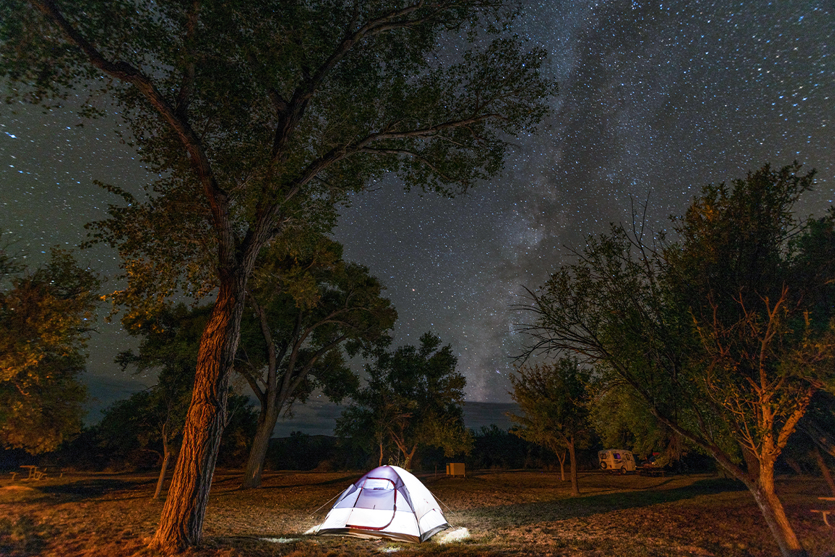 Things to Do in Big Bend National Park - Desert Adventures 6