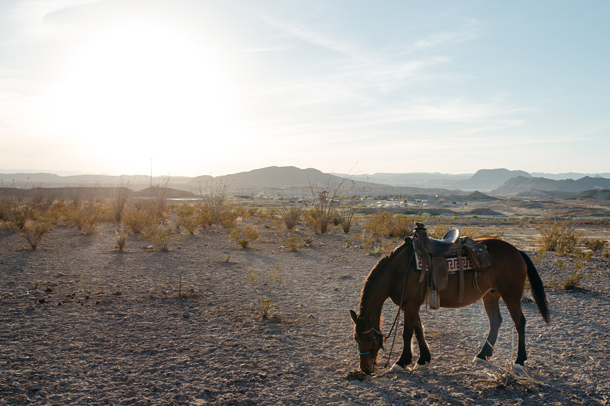 Things to Do in Big Bend National Park - Desert Adventures 6