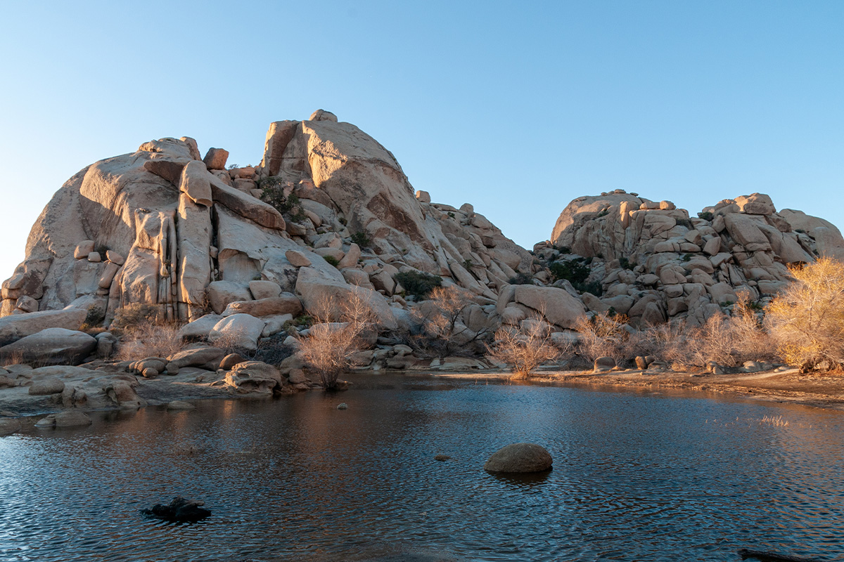 Best Things to Do in Joshua Tree National Park 13