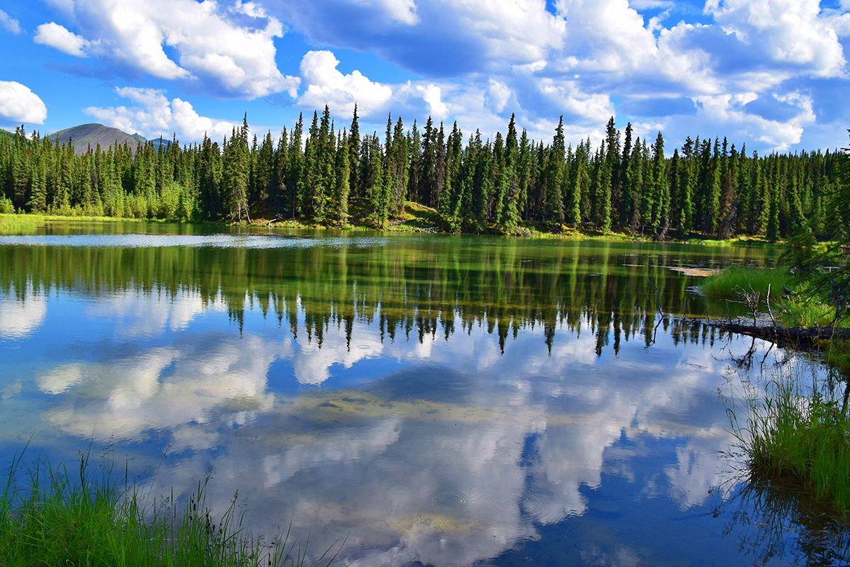 Things to Do in Denali National Park 6