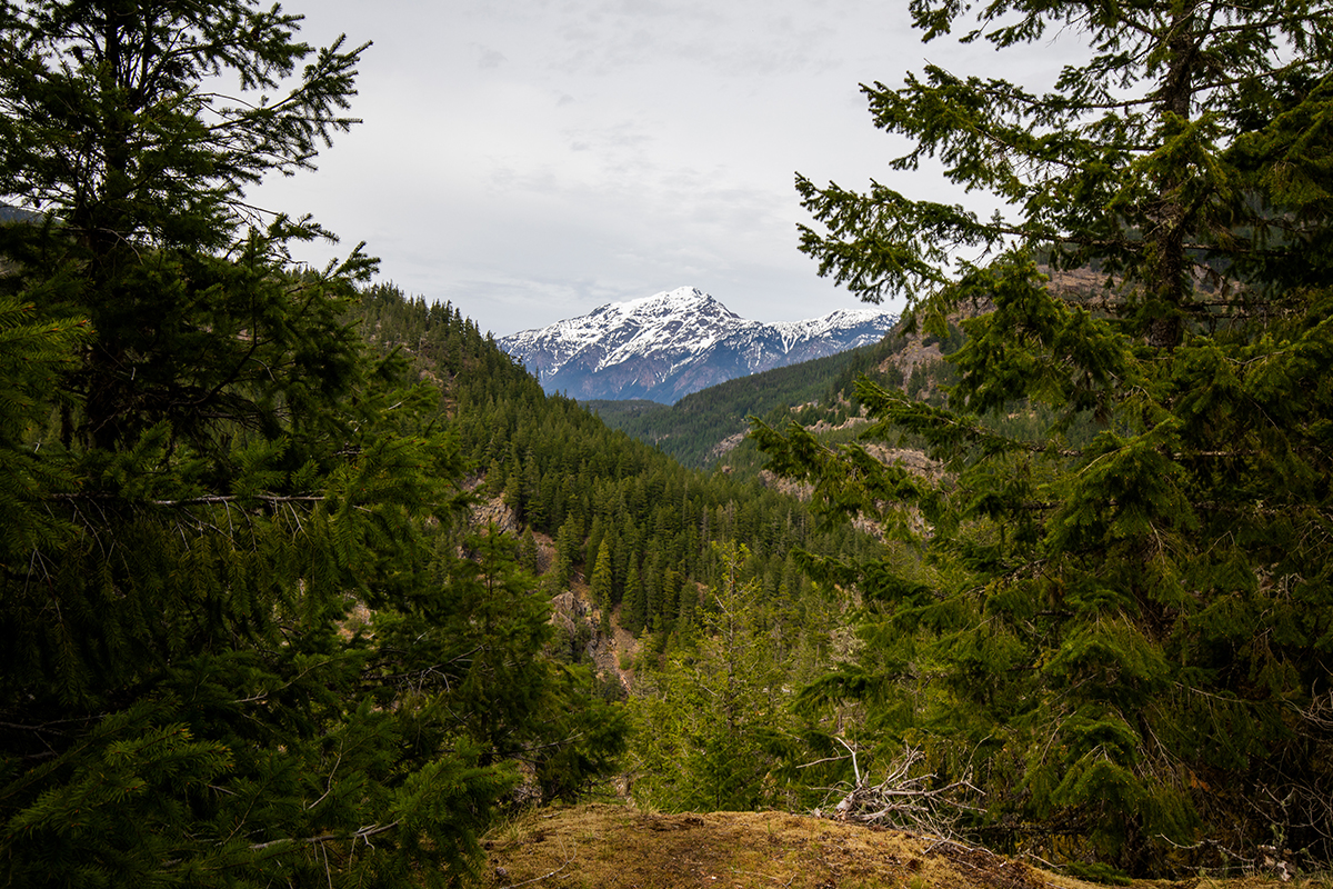 Best Hikes in North Cascades National Park 5