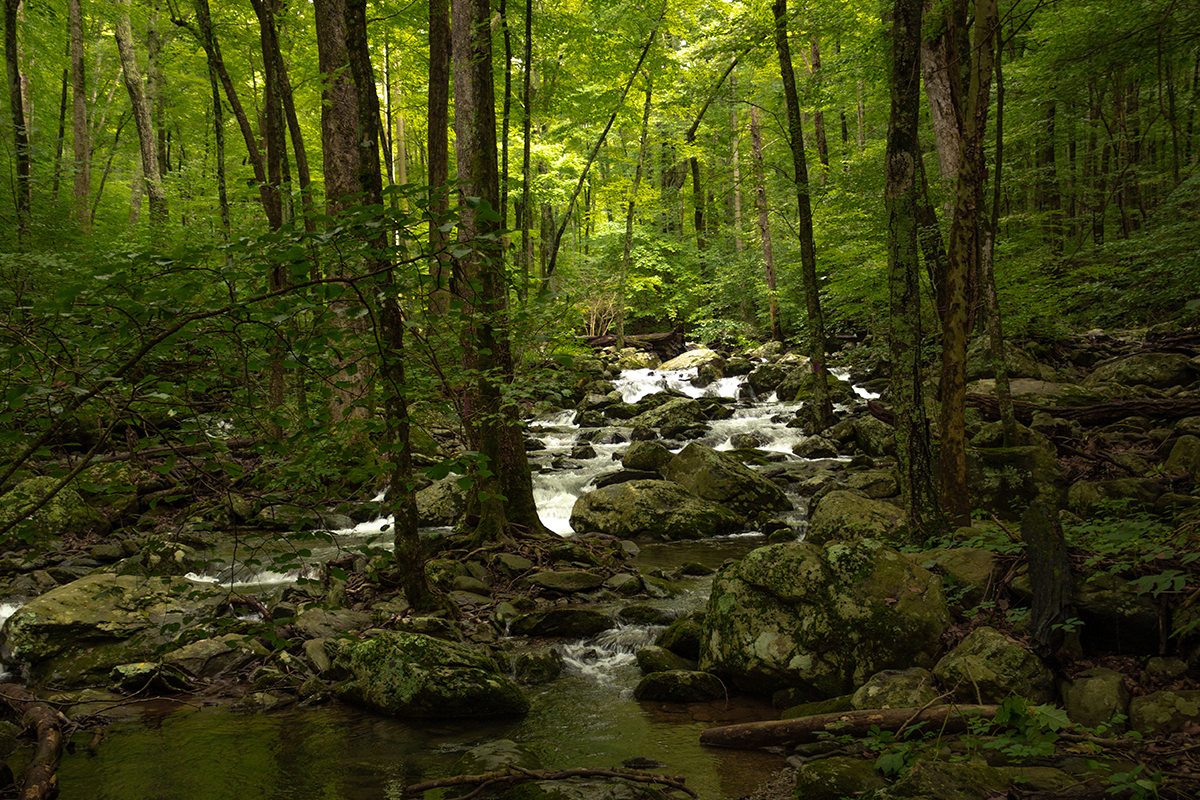Best Hikes in Shenandoah National Park 7
