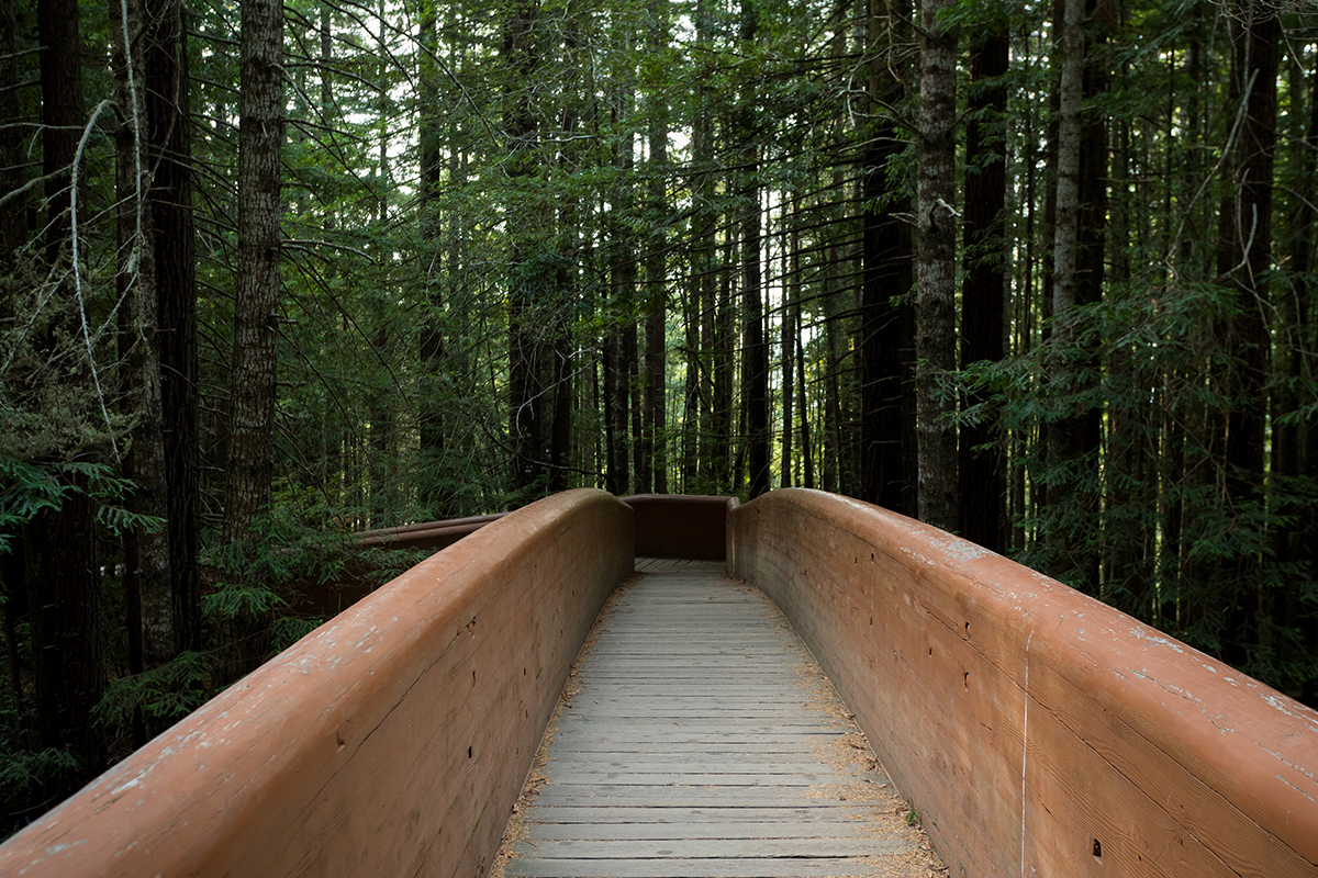 Best Hikes in Redwood National and State Parks 2