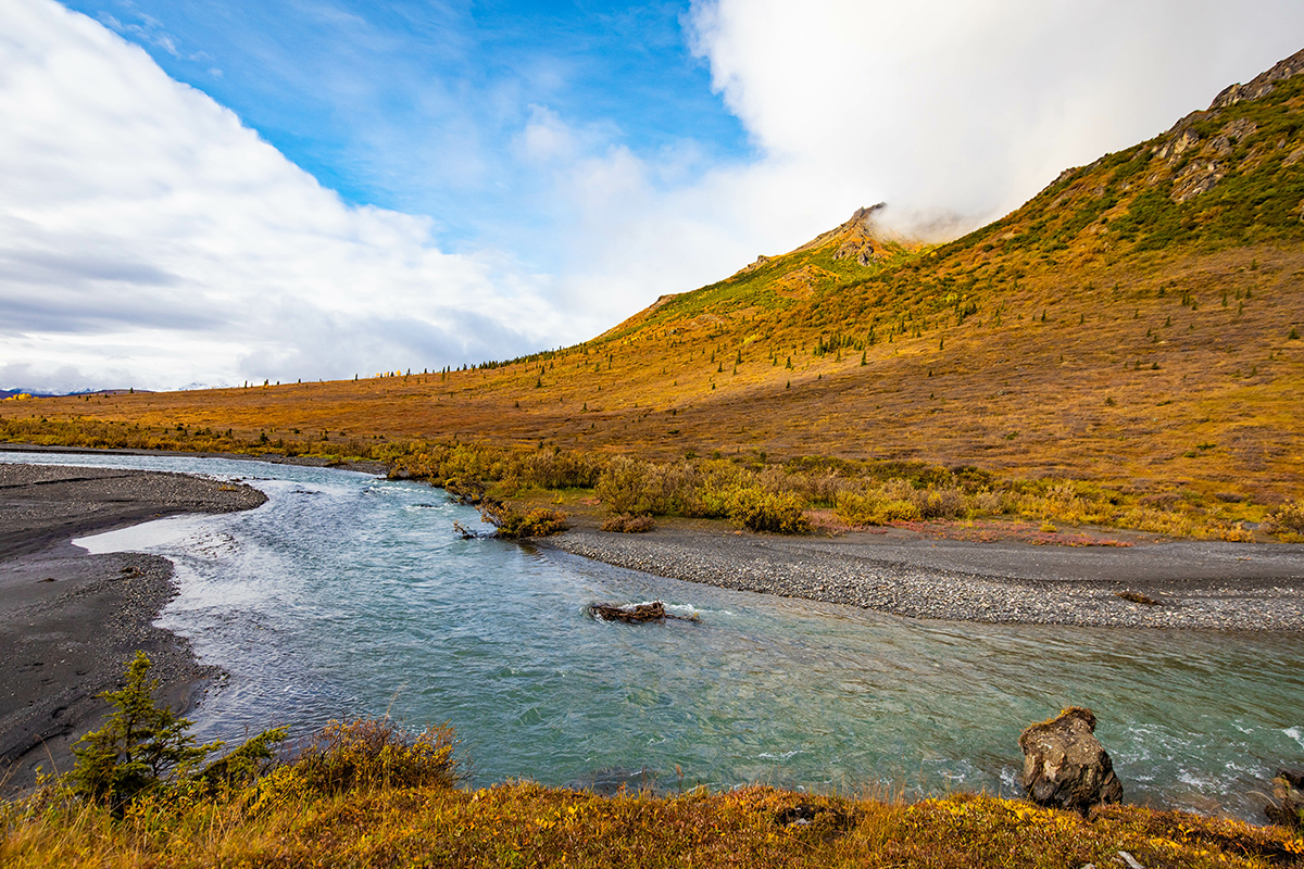 Best Hikes in Denali National Park 1