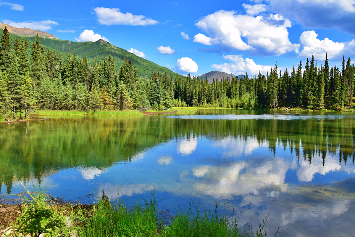 Best Hikes in Denali National Park 4