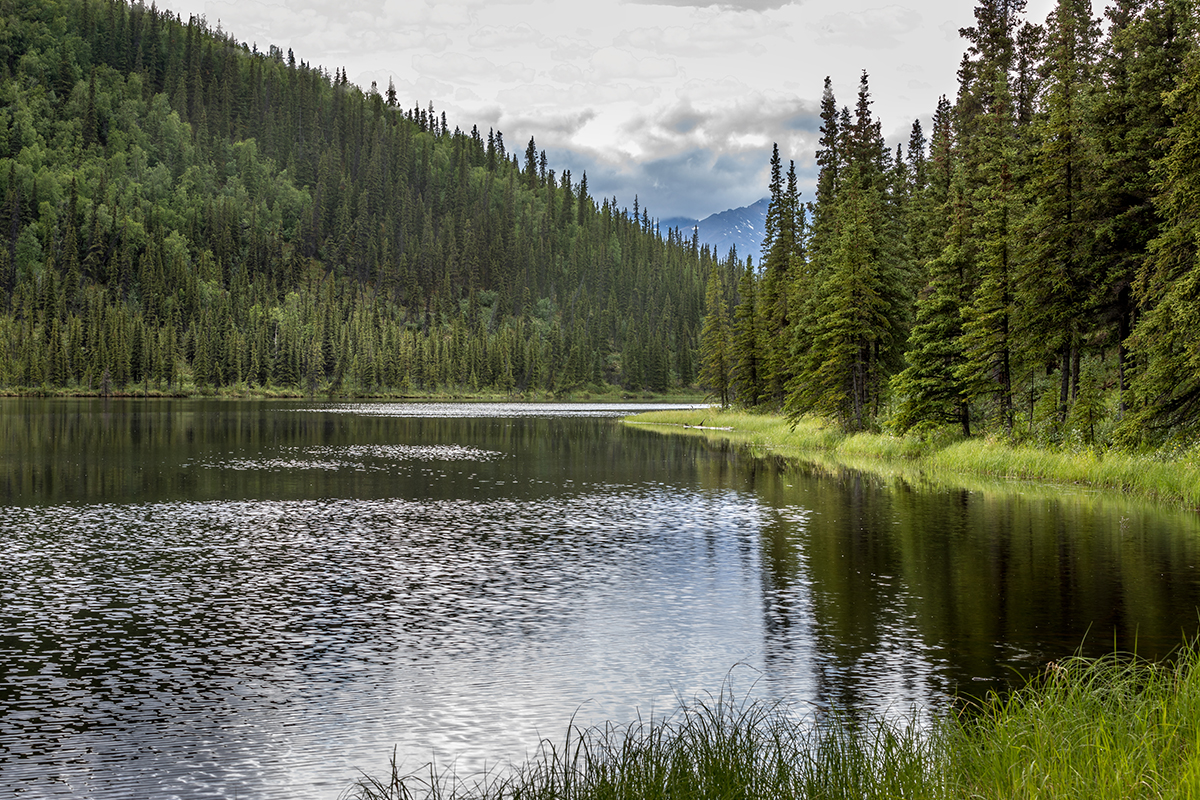 Best Hikes in Denali National Park3
