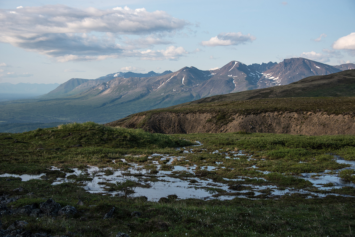 Best Hikes in Denali National Park 7