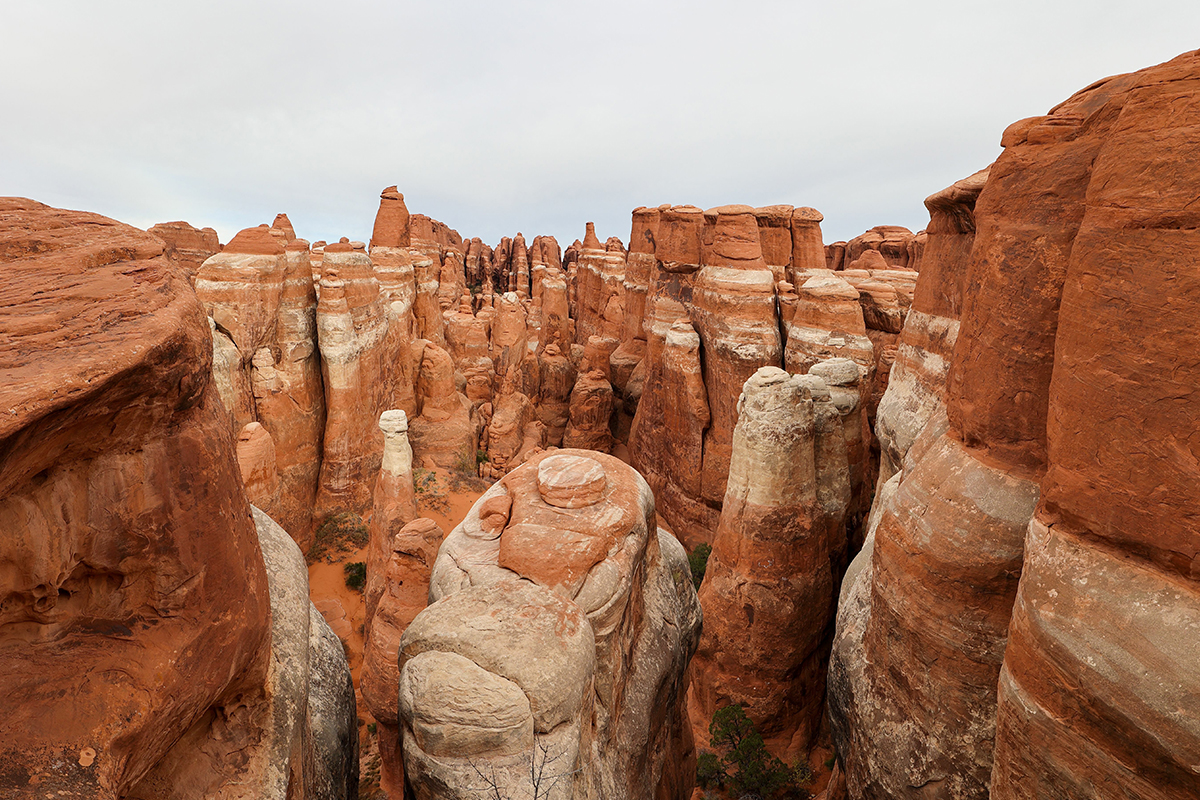 Arches National Park: Facts About Its Stunning Landscapes 2