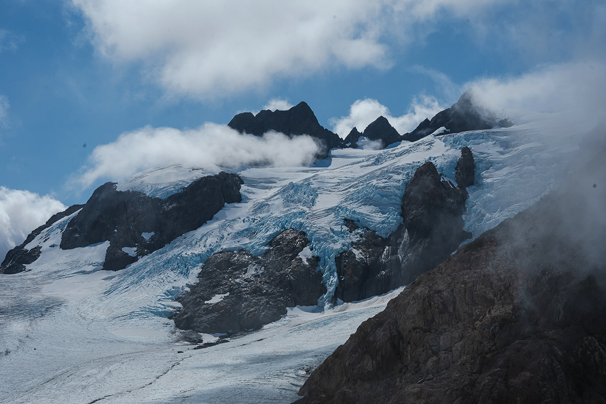 Uncover Incredible Olympic National Park Facts Today 4