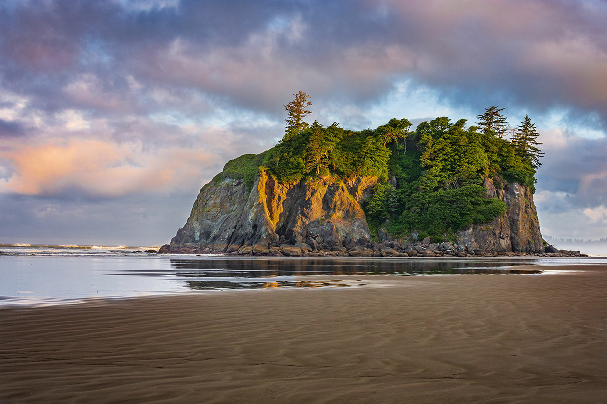 Uncover Incredible Olympic National Park Facts Today 6