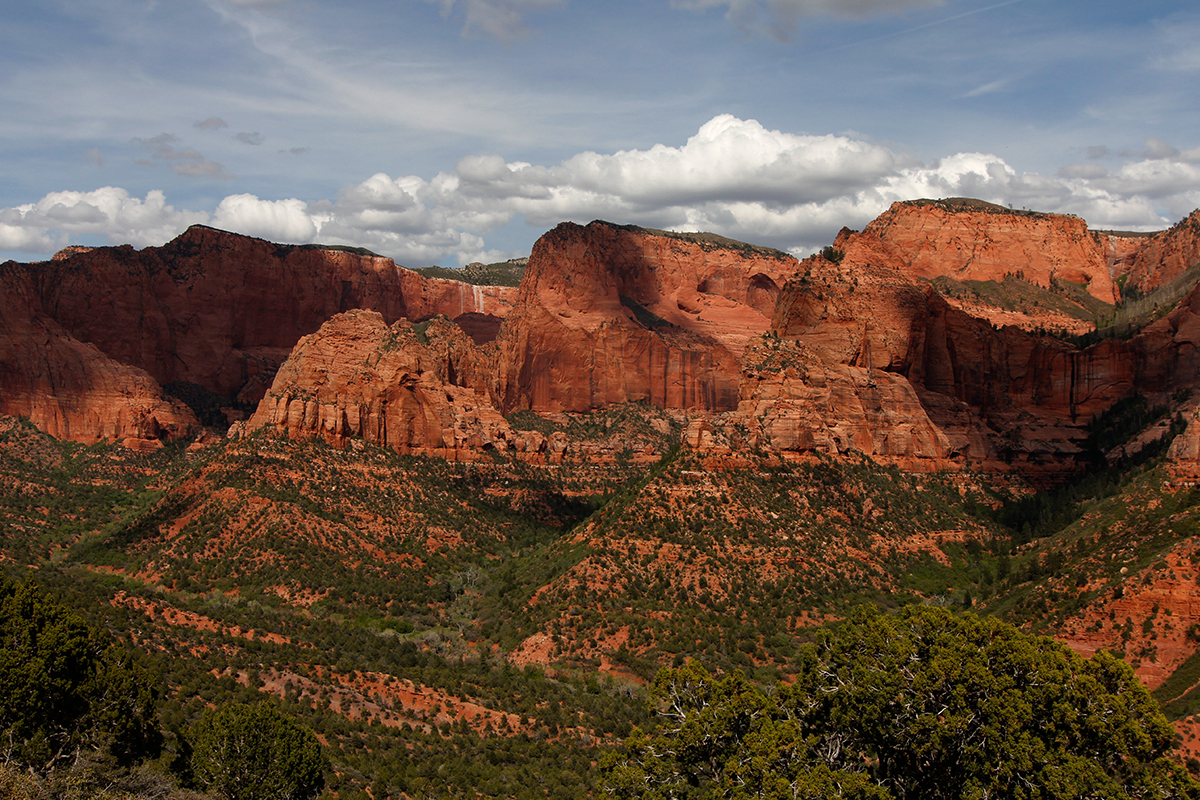 Fascinating Zion National Park Facts for Every Adventurer11