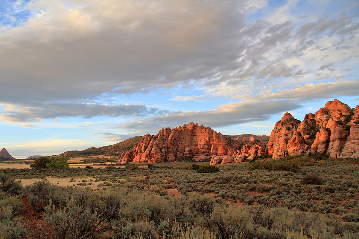 Fascinating Zion National Park Facts for Every Adventurer 12
