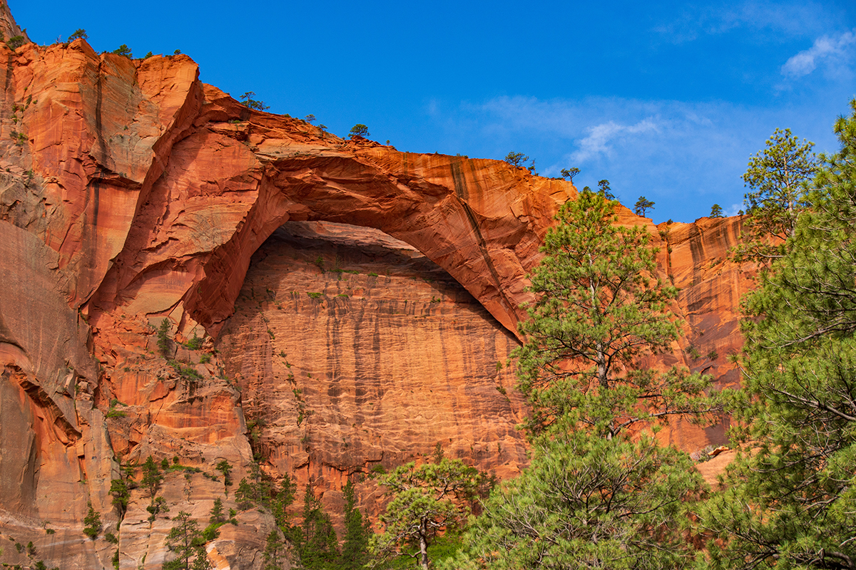 Fascinating Zion National Park Facts for Every Adventurer 2