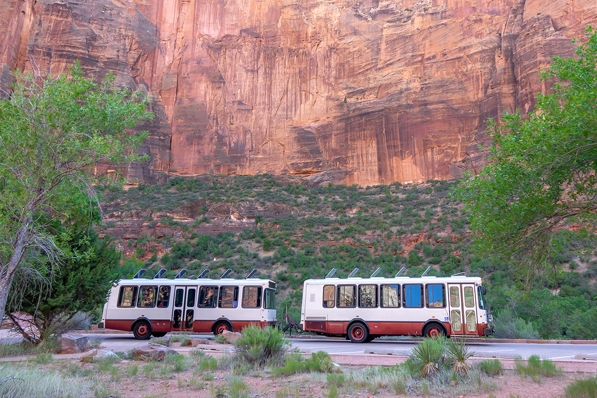 Fascinating Zion National Park Facts for Every Adventurer 9