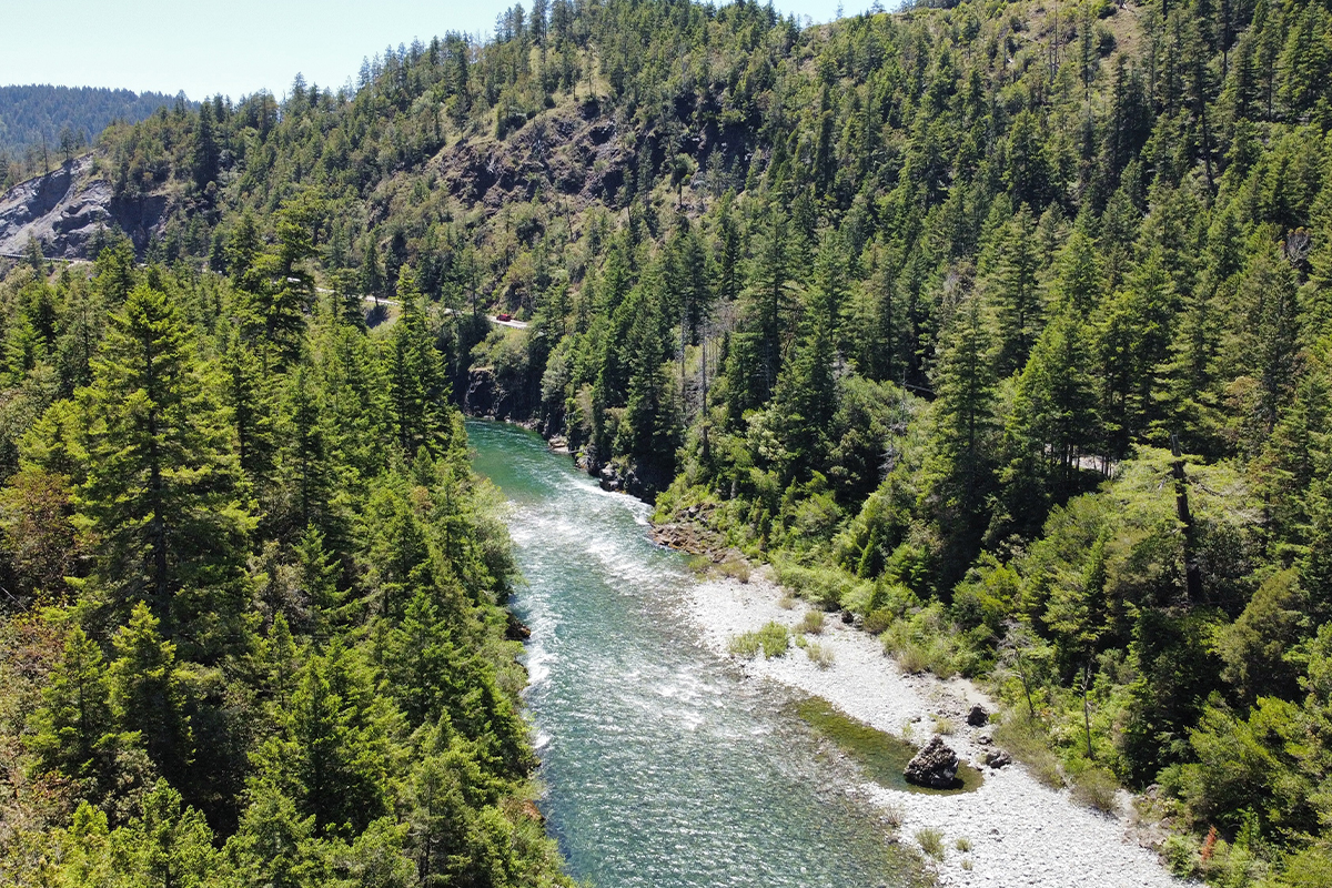 Redwood National Park Facts About Wildlife and History 4