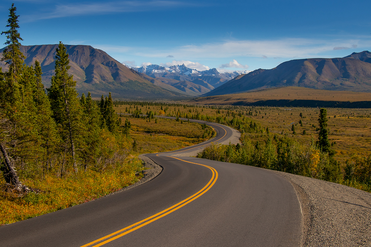 Top Denali National Park Facts for Nature Enthusiasts 16